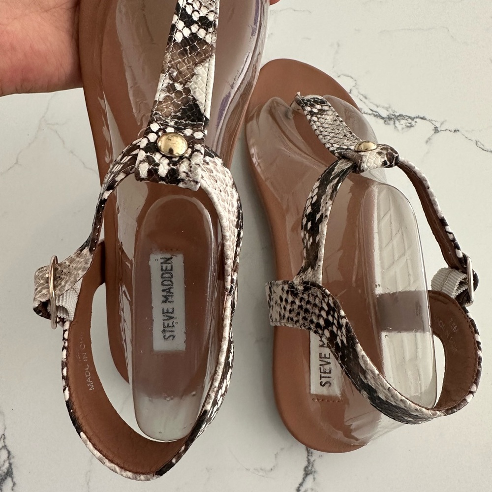 Steve madden snake women sandal New - Picture 4 of 5